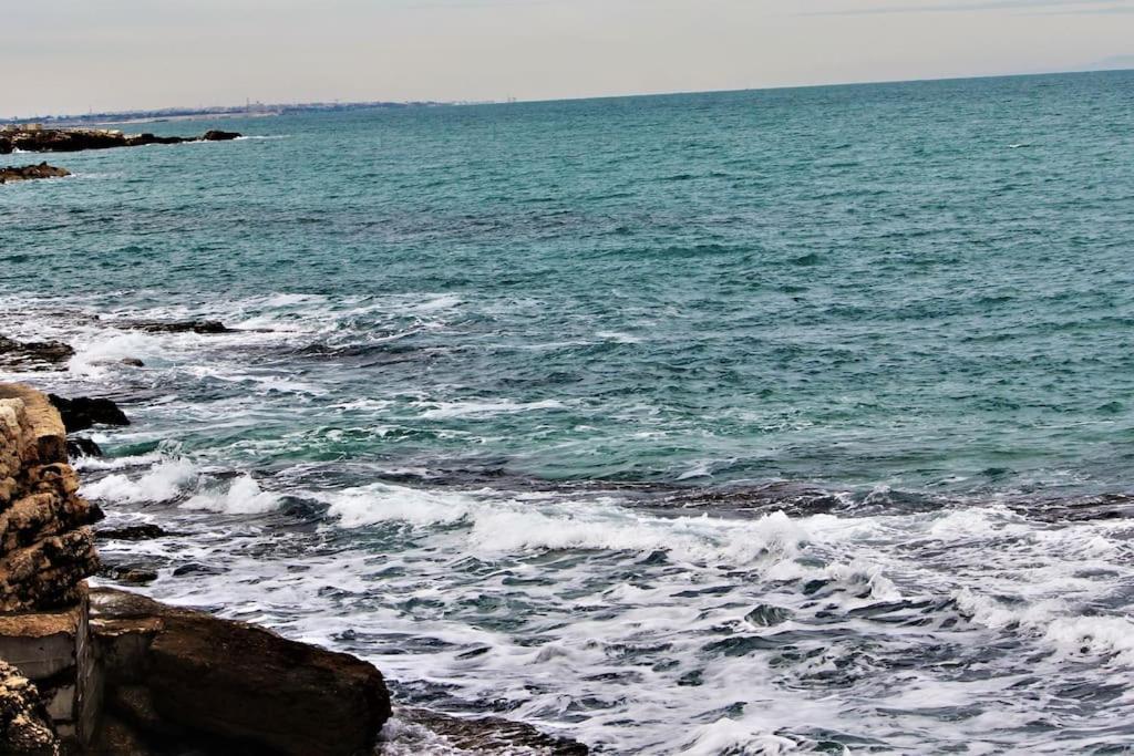 Rubini'S House Ξενοδοχείο Giovinazzo Εξωτερικό φωτογραφία
